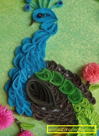 Pictures in the technique of quilling peacock