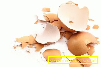 The benefits and harm of eggshell, how to take and cook it