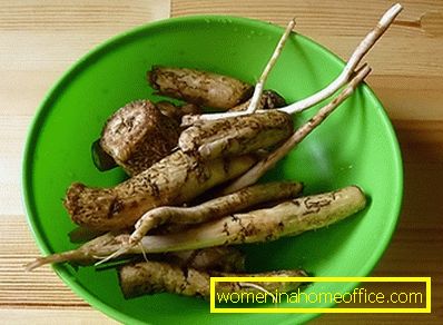 Burdock root, if properly prepared, can help in the treatment of many diseases