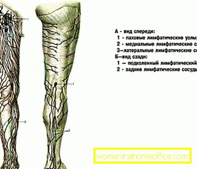 Where are the knee lymph nodes?