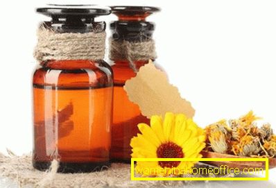 Marigold: useful properties and contraindications