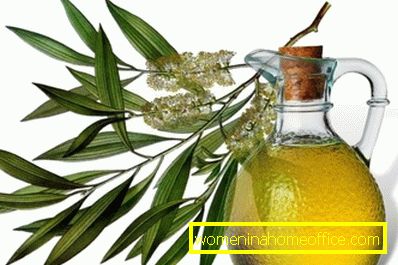 Tea tree oil added to regular shampoo for washing the head will improve the functioning of the sebaceous glands.